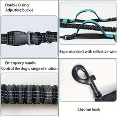Hands Free Dog Leash for Running and Walking