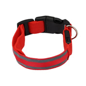 Luminous LED Safety Dog Collar