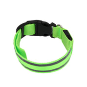 Luminous LED Safety Dog Collar