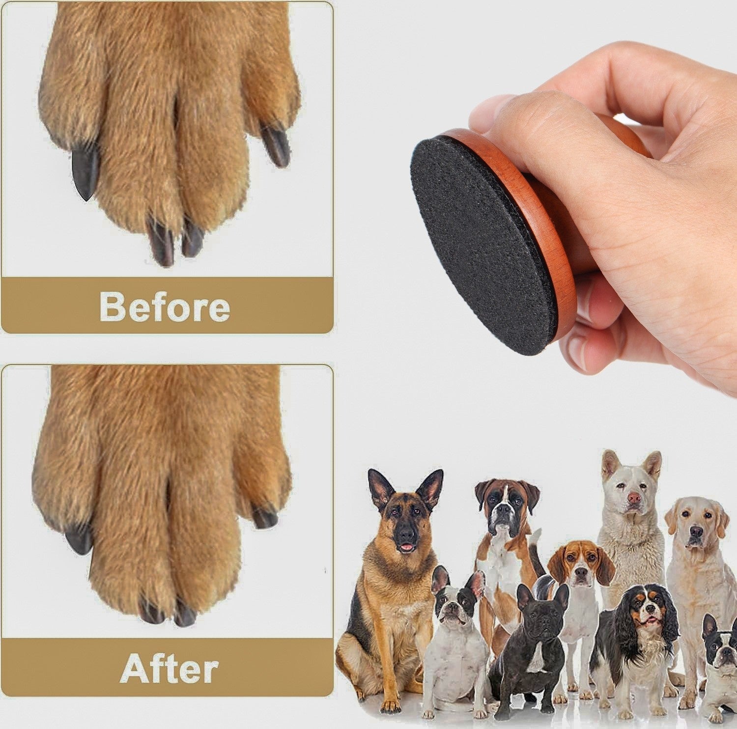 Removable Pet Nail File Board
