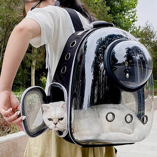 AirFlow Pet Travel Carrier