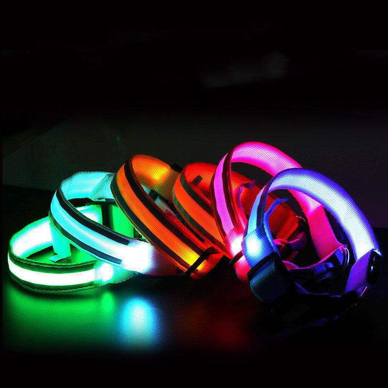Luminous LED Safety Dog Collar