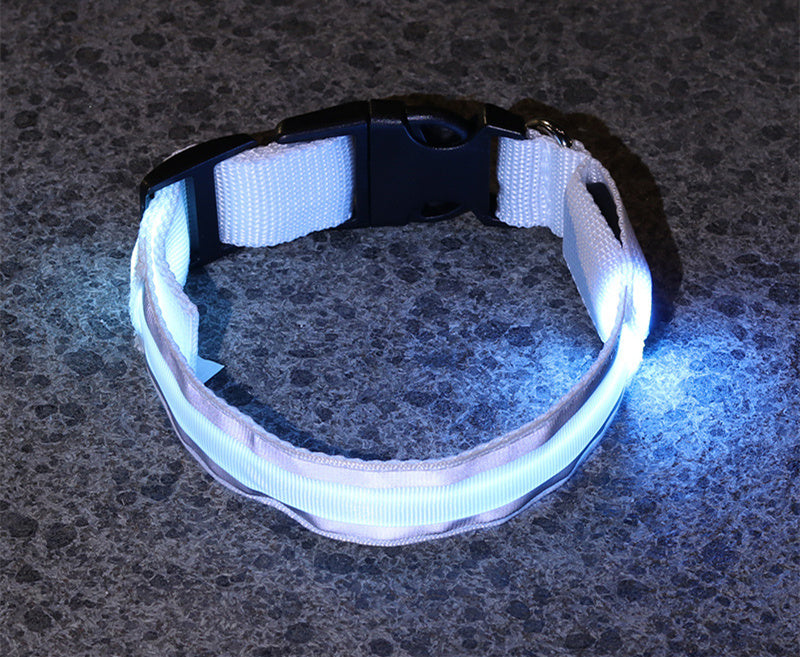 Luminous LED Safety Dog Collar
