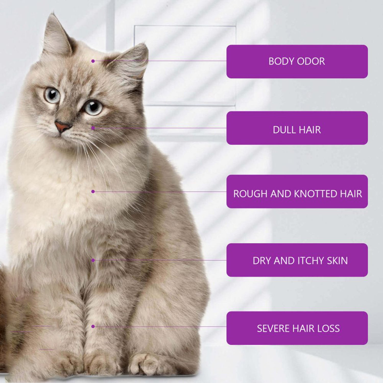 Anti-Itch Dog Shampoo for Soft & Tangle-Free Coat