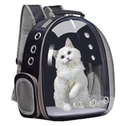 Large Capacity Transparent Pet Backpack