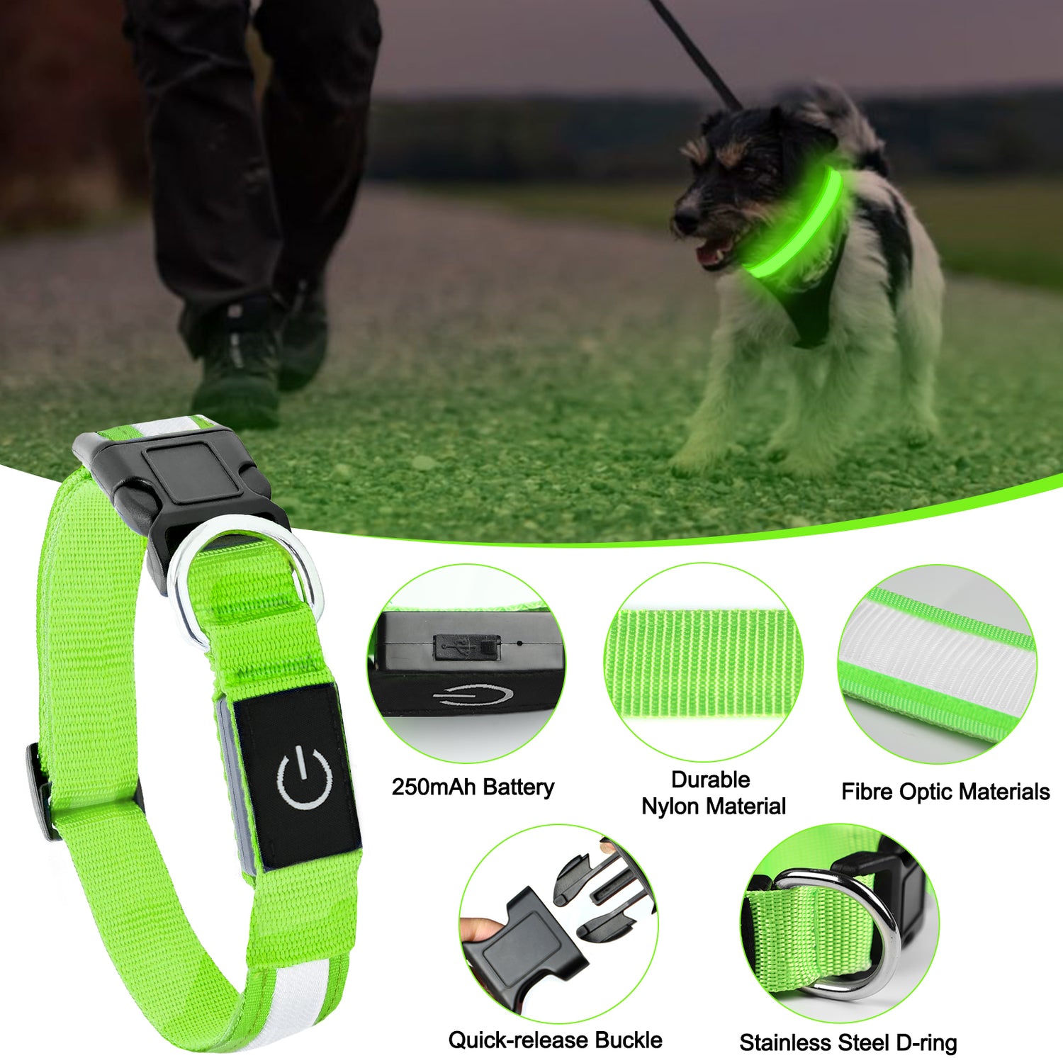 Dog Collar Lights for the dark night, featuring adjustable bright green design and durable materials for pet safety.