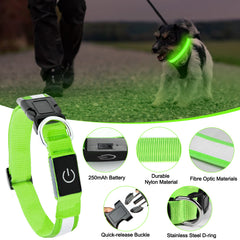 Dog Collar Lights for the dark night, featuring adjustable bright green design and durable materials for pet safety.