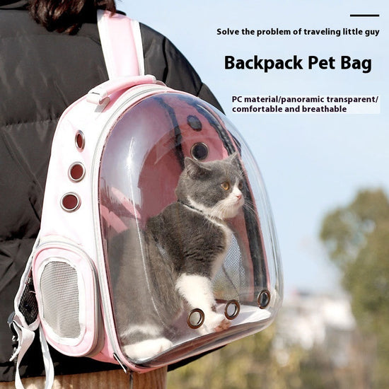 Large Capacity Transparent Pet Backpack