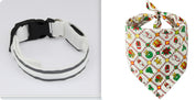 Luminous LED Safety Dog Collar