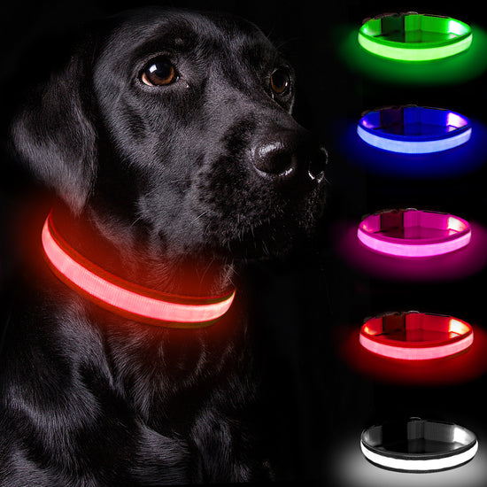 Flashing Adjustable Dog Collar