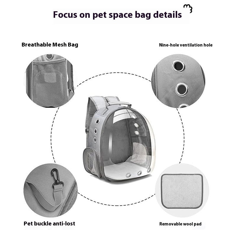 Large Capacity Transparent Pet Backpack